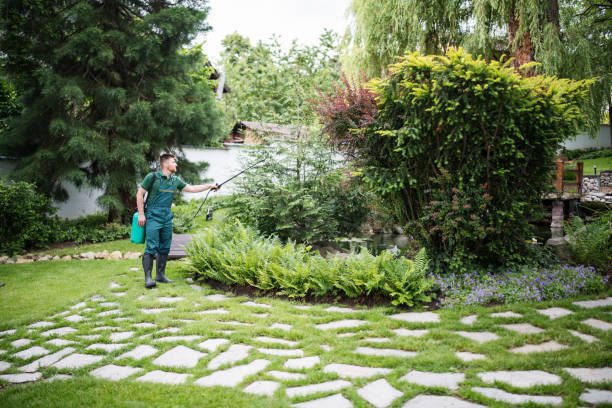 Best Wasp Removal Services  in Santa Clara, OR