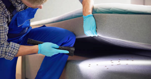 Best Pest Prevention Services  in Santa Clara, OR
