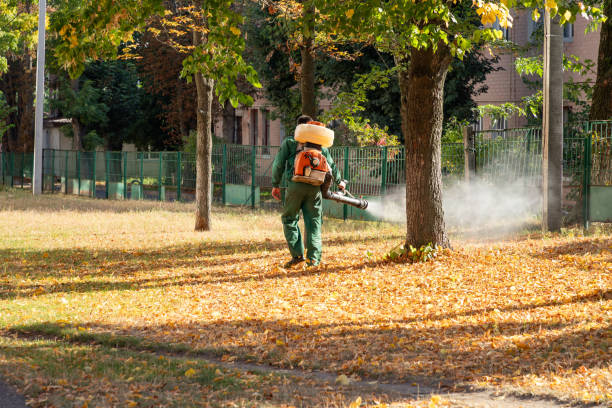 Best Flea Control Services  in Santa Clara, OR