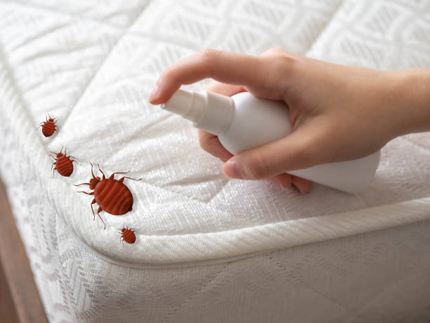 Best Local Pest Control Services  in Santa Clara, OR