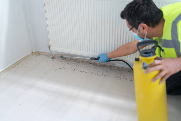 Best Termite Control Services  in Santa Clara, OR