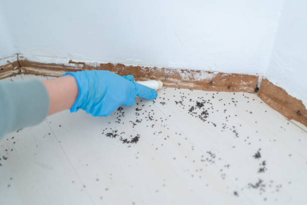 Best Best Pest Control Companies  in Santa Clara, OR